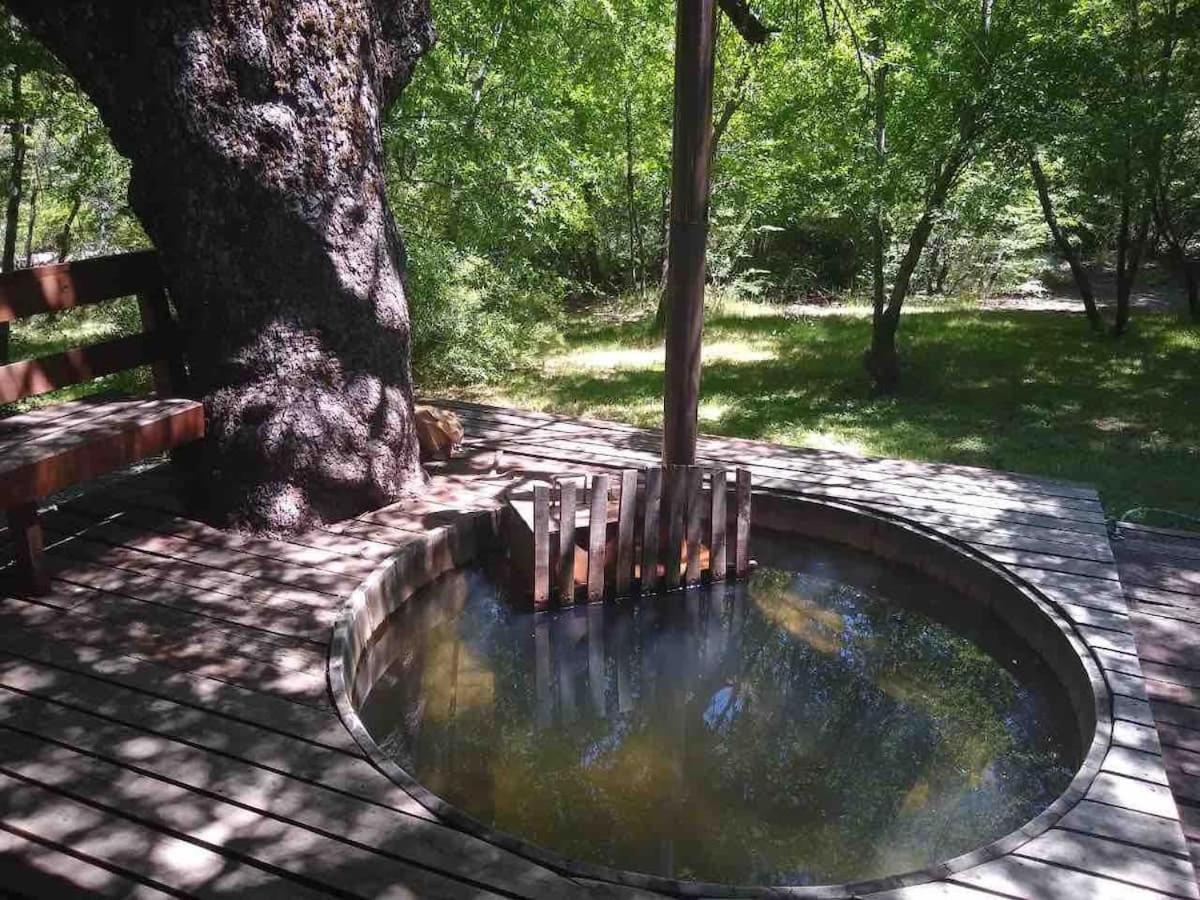 Agradable Casa Cerca De Las Termas De Chillan Las Trancas Kültér fotó